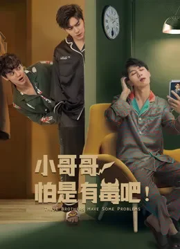 小哥哥怕是有毒吧电视剧海报