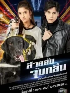 侦探K9普通话版电视剧海报