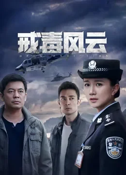 戒毒风云电视剧海报