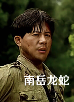 南岳龙蛇