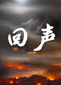 回声电视剧海报