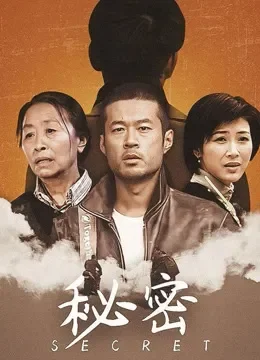 秘密 2006版电视剧海报