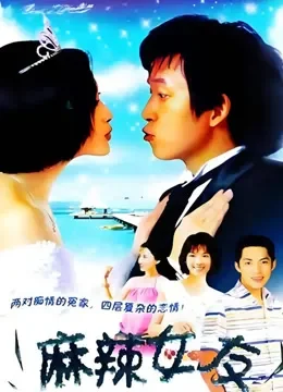 麻辣女友电视剧海报