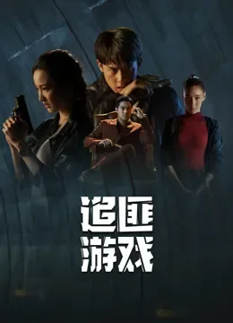 追匪游戏普通话版电视剧海报