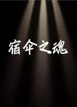 宿伞之魂电视剧海报