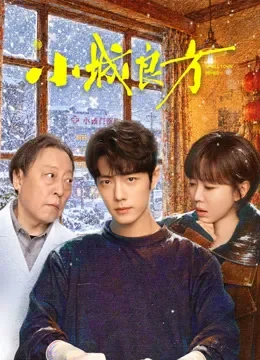 小城良方电视剧海报