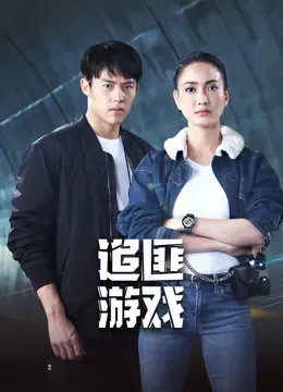 追匪游戏电视剧海报