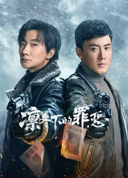 凛冬下的罪恶电视剧海报