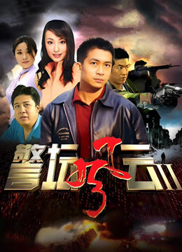警坛风云第二部