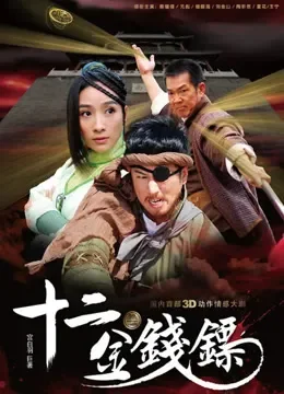 十二金钱镖电视剧海报
