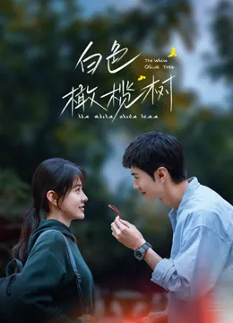 白色橄榄树电视剧海报