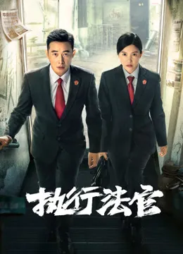 执行法官电视剧海报