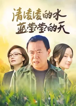 清凌凌的水蓝莹莹的天DVD版电视剧海报