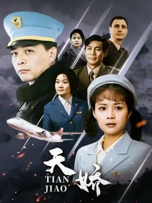 天娇电视剧海报