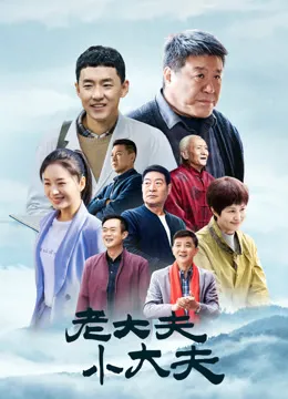 老大夫小大夫电视剧海报