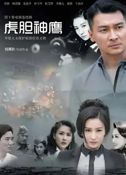 虎胆神鹰电视剧海报