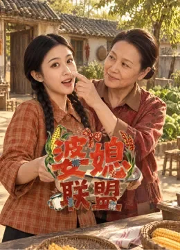 婆媳联盟电视剧海报