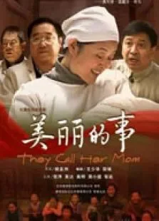 美丽的事电视剧海报