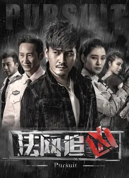 法网追凶电视剧海报