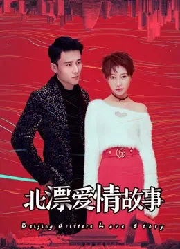北漂爱情故事电视剧海报