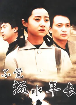 不觉流水年长电视剧海报