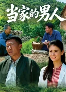当家的男人电视剧海报