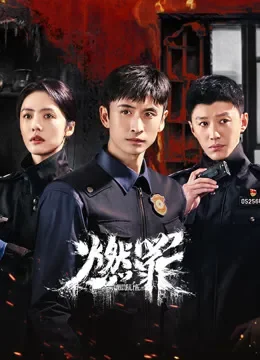 燃罪电视剧海报