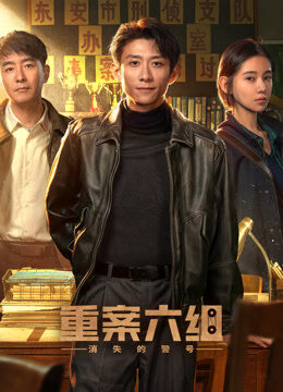 重案六组：消失的警号