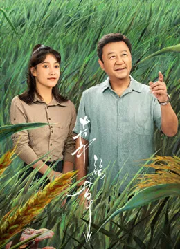 幸福草电视剧海报
