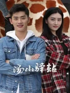 汤山驿站电视剧海报