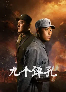 九个弹孔电视剧海报
