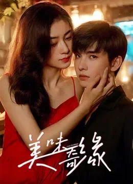 美味奇缘电视剧海报