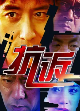 抗诉电视剧海报