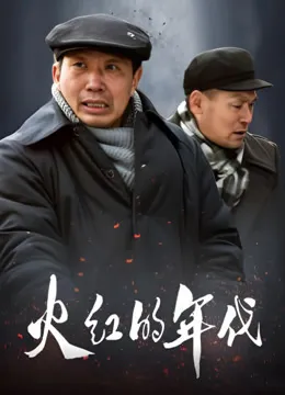 火红的年代电视剧海报