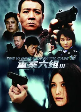 重案六组第三部电视剧海报