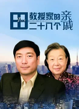 田教授家的28个亲戚电视剧海报