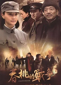 春桃的战争电视剧海报