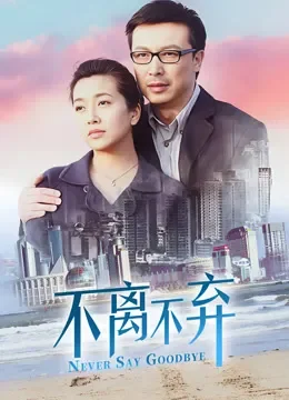 不离不弃电视剧海报