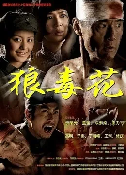 狼毒花电视剧海报