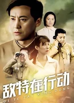 敌特在行动电视剧海报