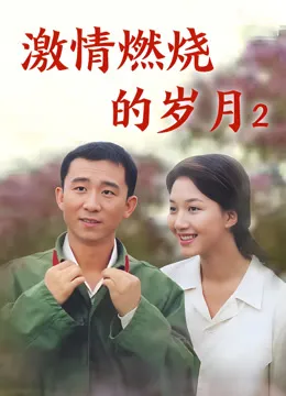 激情燃烧的岁月2电视剧海报