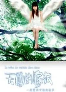 天国的嫁衣电视剧海报