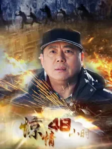 惊情48小时电视剧海报