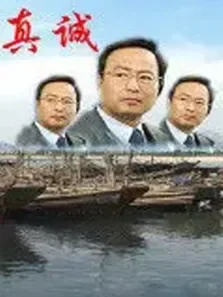 真诚电视剧海报