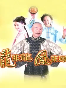 龙非龙凤非凤电视剧海报