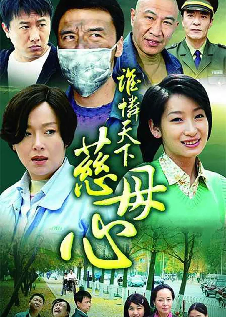 谁怜天下慈母心电视剧海报