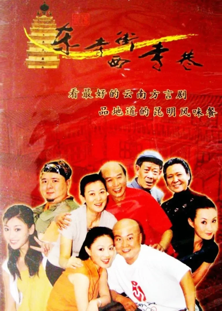 东寺街西寺巷电视剧海报