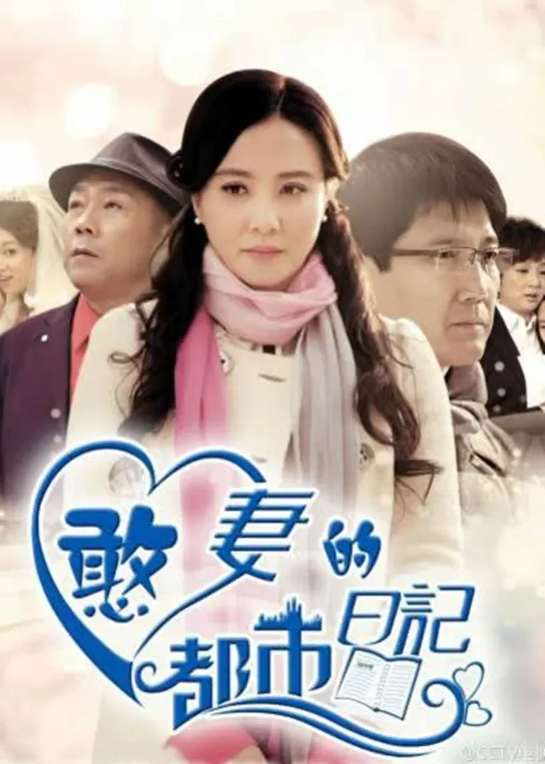 憨妻的都市日记电视剧海报
