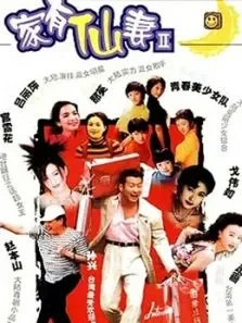 家有仙妻续电视剧海报