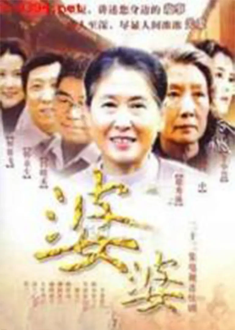 婆婆电视剧海报